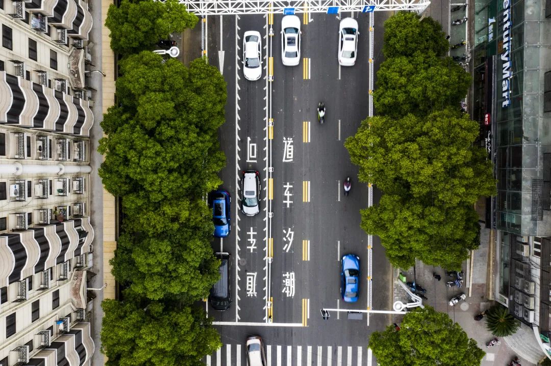 159055686916941643D4.jpg 159055686916941643D4.jpg